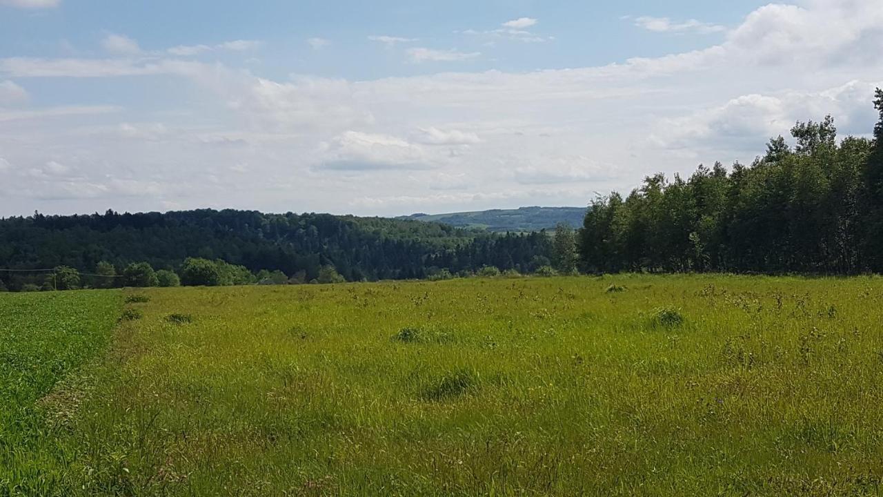 Wichrowe Wzgorze Villa Dynow Exteriör bild