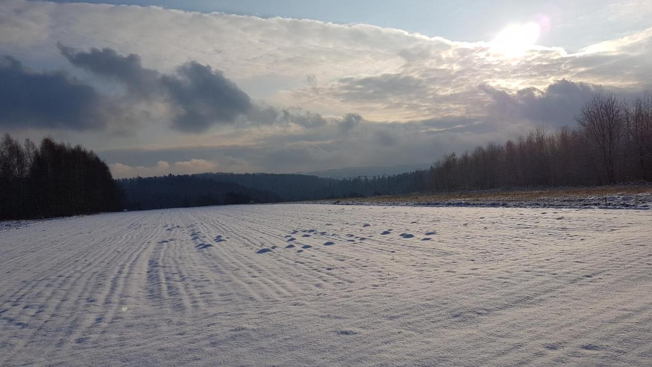 Wichrowe Wzgorze Villa Dynow Exteriör bild